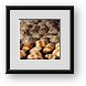 Buy Framed Print
