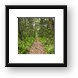 Buy Framed Print