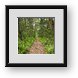 Buy Framed Print