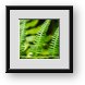 Buy Framed Print