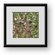 Buy Framed Print