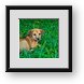 Buy Framed Print