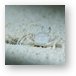 Zippy sand crab would scurry in and out of its hole Metal Print