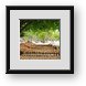 Buy Framed Print