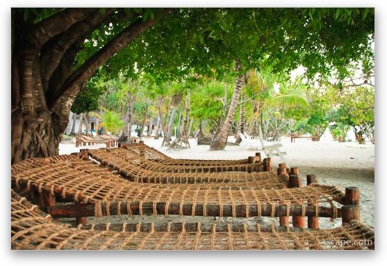 Loungers on the beach Fine Art Metal Print