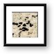 Many corals and urchins were exposed when the tide was low Framed Print