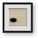 Buy Framed Print