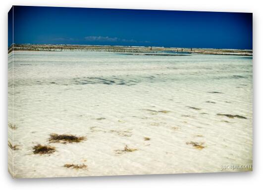 Low tide exposed half a mile of beach Fine Art Canvas Print