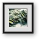 Buy Framed Print