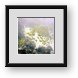 Buy Framed Print