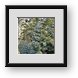 Buy Framed Print
