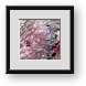 Buy Framed Print