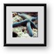 Buy Framed Print