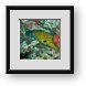 Buy Framed Print