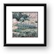 Buy Framed Print