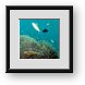 Buy Framed Print