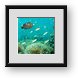 Buy Framed Print