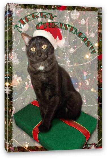 Persy the Christmas Cat Fine Art Canvas Print