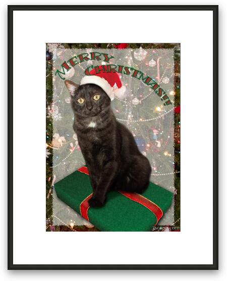 Persy the Christmas Cat Framed Fine Art Print