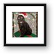 Persy the Christmas Cat Framed Print
