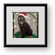 Buy Framed Print