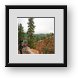 Buy Framed Print