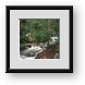 Buy Framed Print