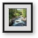 Buy Framed Print