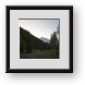 Buy Framed Print