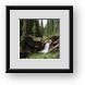Buy Framed Print