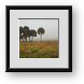 Buy Framed Print