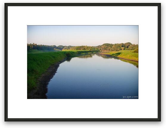 Myakka River Framed Fine Art Print