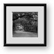 Buy Framed Print