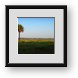 Buy Framed Print