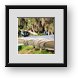 Buy Framed Print
