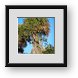 Buy Framed Print