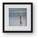 Buy Framed Print