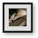 Buy Framed Print