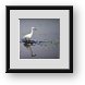 Buy Framed Print