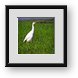 Buy Framed Print