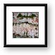 Lichens on a tree Framed Print