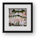 Buy Framed Print