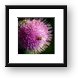 Flowery plant with beatle Framed Print