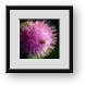 Buy Framed Print