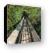 There is a short canopy walkway that gets you to tree height Canvas Print