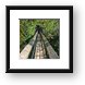 There is a short canopy walkway that gets you to tree height Framed Print