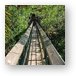 There is a short canopy walkway that gets you to tree height Metal Print
