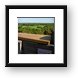 Above the trees Framed Print