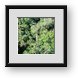Buy Framed Print
