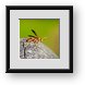 Buy Framed Print